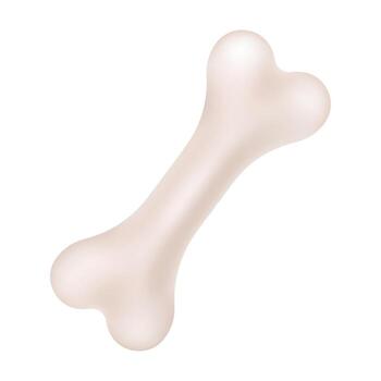 Anatomical Structure of a Human Bone in Style. vector