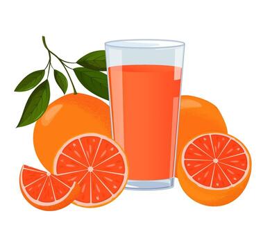 Glass of grapefruit juice surrounded by fresh grapefruits vector