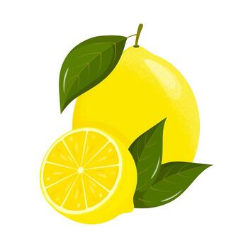 limón rebanadas Fresco agrios, medio rebanado limones limón es un Fruta ese es agrio y tiene alto vitamina C. plano estilo. ilustración vector