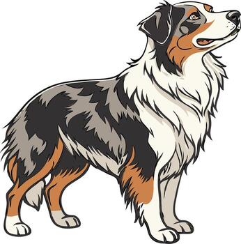 Energetic Australian Shepherd Dog Standing Alert in Open Field Available on EPS File vector
