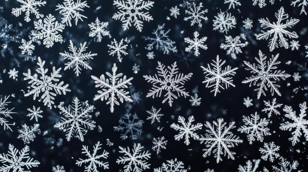 Close up of snowflakes on dark background, showcasing intricate patterns and unique designs. delicate beauty of winter captured in stunning detail photo