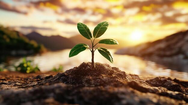 a young plant sprouting from the ground in front of a lake photo