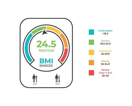 BMI Gauge Chart Showing Body Mass Index Levels vector