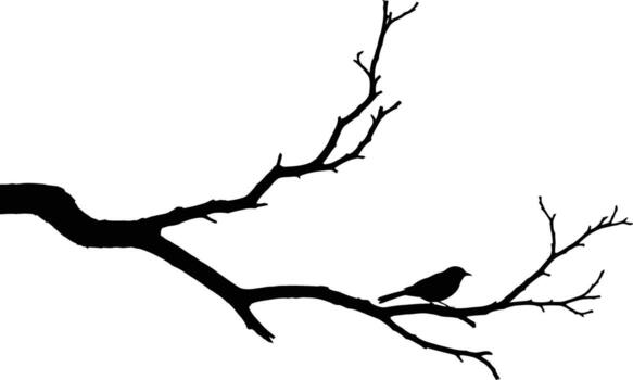 Silhouette of a bird perched on a bare tree branch against a white background vector
