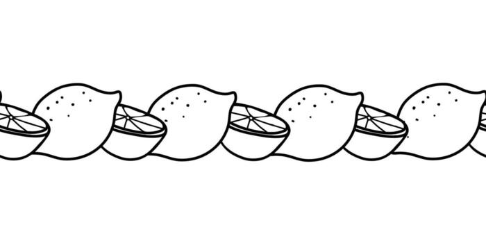 Seamless border with lemon fruits and slices. Citrus hand drawn doodle line for summer decoration, juice label, packaging, or background. vector