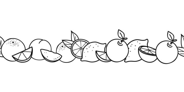 Seamless fruits doodle border with lemons, oranges, apples and peaches slices. Graphic pattern for summer or drink design. vector