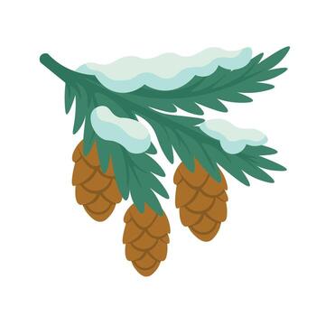 Fir branch with cones covered in snow, winter forest element, flat illustration. vector