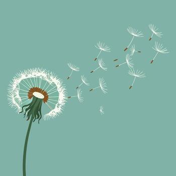 Whimsical dandelion illustration with seeds blowing in wind, symbolizing wishes, freedom, and nature's delicate cycle against serene teal background vector