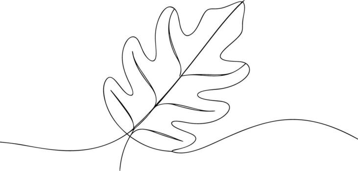 soltero línea dibujo de un roble hoja con vástago continuo línea vector