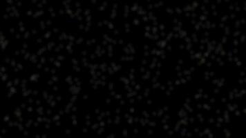 bokeh partículas en negro antecedentes lazo o oscuro invierno nevada brillar movimiento fondo video