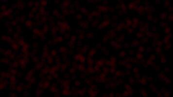Sombrio vermelho bokeh partículas em Preto fundo ciclo ou temperamental marrom cintilar luz efeito video