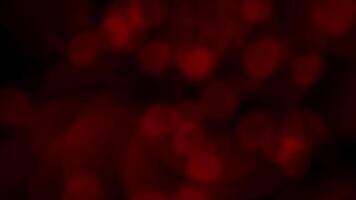 oscuro rojo bokeh partículas movimiento antecedentes lazo o resumen profundo rojo ligero fugas en negro fondo video