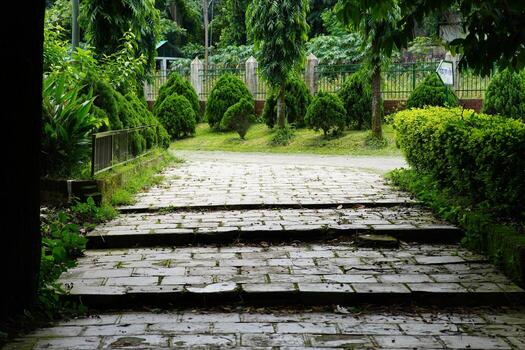 Empty footpath amidst trees in park, stone steps in the garden. Stone Pathway Through Lush Green Park with Trees and Bushes. photo