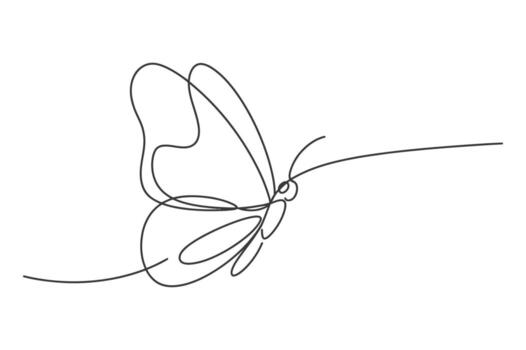 Elegant single line drawing of a delicate butterfly in flight with graceful wings and antennae on a white background vector