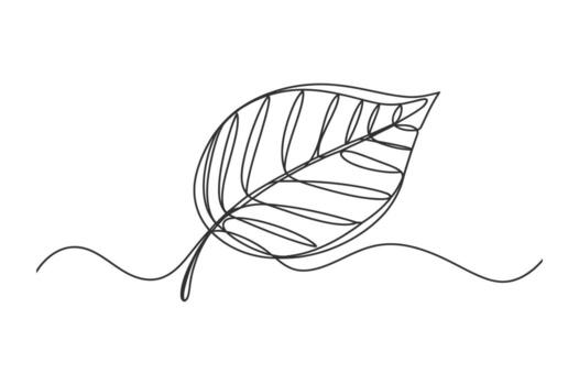 minimalista soltero línea dibujo de un delicado hoja con las venas y un ondulado vástago en un blanco antecedentes vector