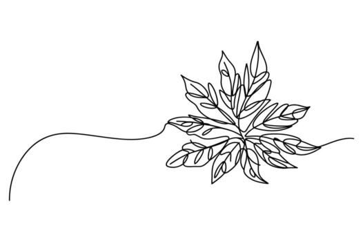 Elegant single line drawing of a cannabis leaf with a flowing vine extending to the left on a white background vector