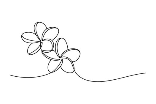 Elegant minimalist continuous line drawing of two delicate plumeria flowers with flowing stems on a white background vector