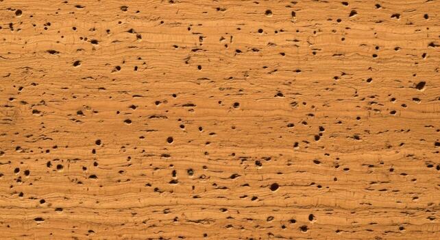 A close up of a cork board with holes photo
