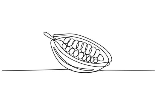 Minimalist continuous line drawing of a single cocoa pod cut in half revealing its seeds on a white background vector