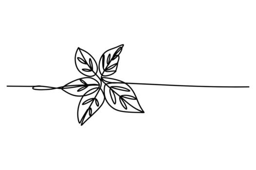 Elegant single line drawing of a delicate plant with multiple leaves emerging from a continuous flowing line on a white background vector