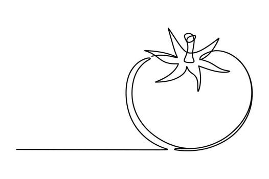 Minimalist continuous line drawing of a fresh ripe tomato with a stem and leaves casting a shadow on a white background vector