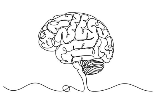 Abstract minimalist single line drawing of a human brain with cerebellum and brainstem on a white background vector