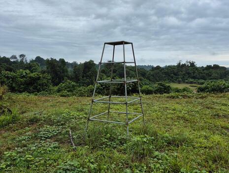 A wide stretch of open land with patches of green grass under a calm, partly cloudy sky, bordered by a line of trees that adds a touch of natural beauty to the serene landscape photo