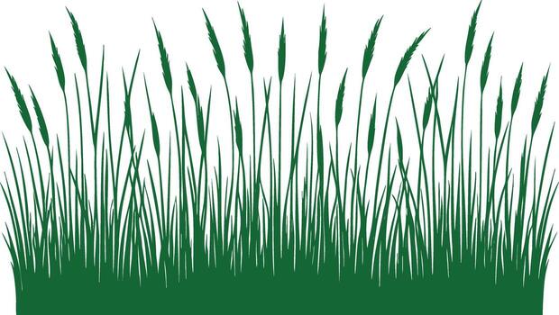 Horizontal green grass border element on white backdrop vector