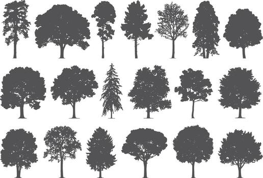 Collection of diverse deciduous and coniferous tree silhouettes in rows vector