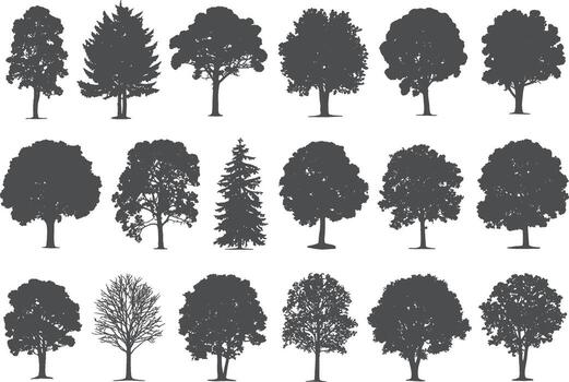 Assortment of deciduous and coniferous tree silhouettes arranged in three rows vector