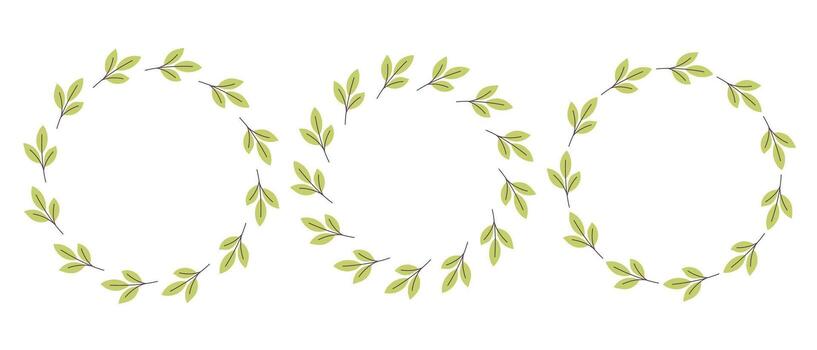 Gently simple flower circle frame. Hand drawn botanical round border, green branches wreath, laurel. Design for invitation, card, banner or logo vector