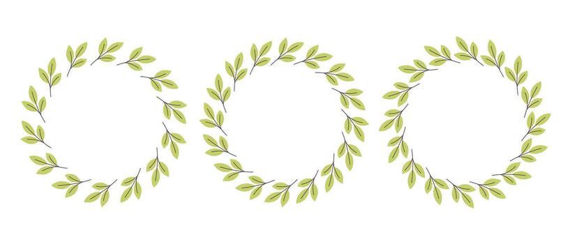 Gently simple flower circle frame. Hand drawn botanical round border, green branches wreath, laurel. Design for invitation, card, banner and logo vector