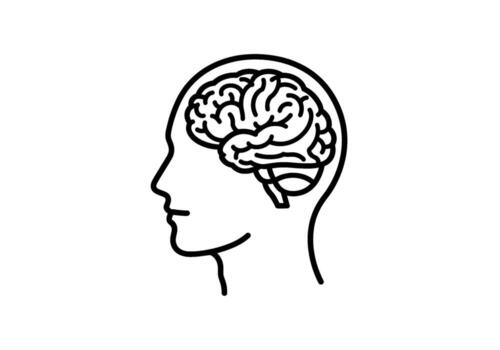 humano cabeza exhibiendo un cerebro en contorno estilo en un blanco antecedentes representando inteligencia conciencia y el complejidad de el humano mente vector