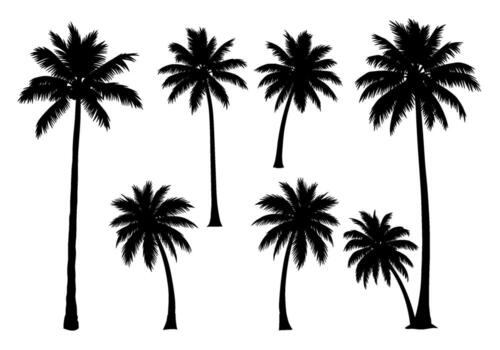Silhouette of seven palm trees standing tall on a white background evoking a sense of tropical paradise and serene summer vibes with their dark shapes vector