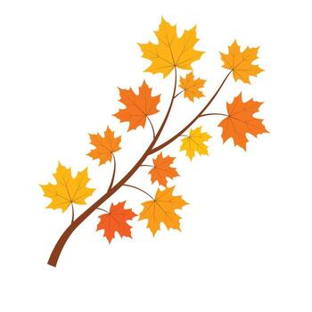 Flat Style Detailed Maple Leaf on Branch with Autumn Colors vector