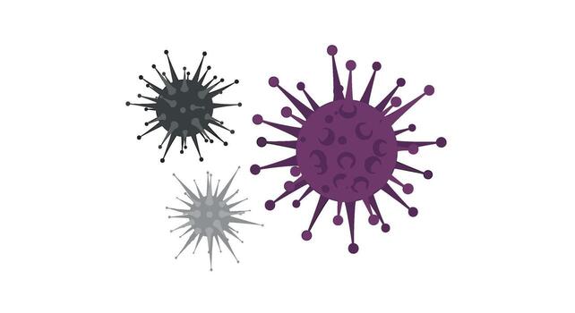 Three abstract representations of viruses, including a large purple one, a dark grey one, and a light grey one, isolated on white background vector