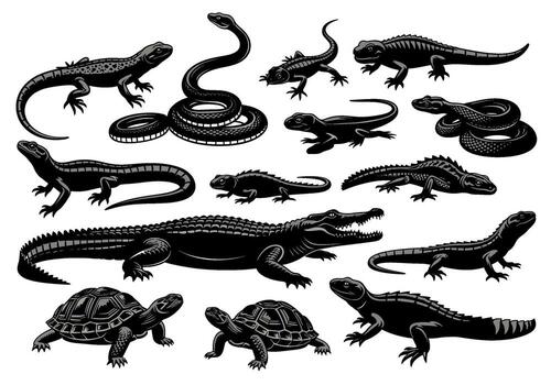 Collection of reptiles in a graphic style including snakes lizards turtles and alligators isolated on a white background showcasing wildlife diversity vector