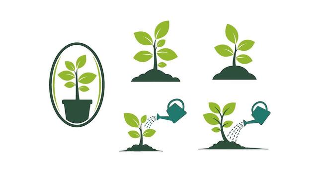Seedlings growing in soil and pots being watered with a watering can symbolizing growth nurturing and environmental care in a minimalist style vector