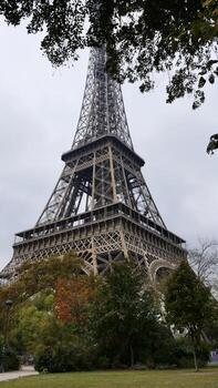 The eiffel tower is seen from behind a tree photo