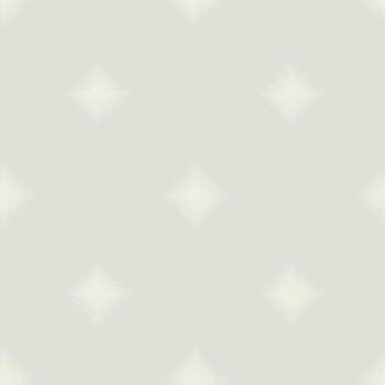 Seamless pattern with star shape ornament. Stylish abstract geometric lines texture. vector