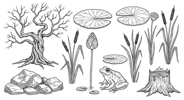 Collection of nature elements including a gnarled tree, rocks, cattails, lily pads, a frog, and a tree stump, isolated on white background vector