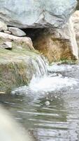 Serene forest scene, small waterfall cascading over moss-covered rocks, silky water, lush greenery video