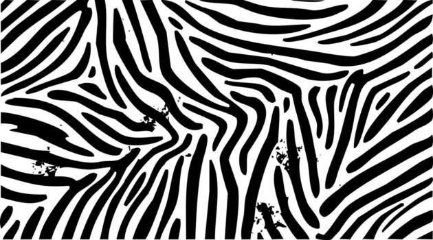 Abstract black and white zebra stripe pattern texture close up natural animal print vector