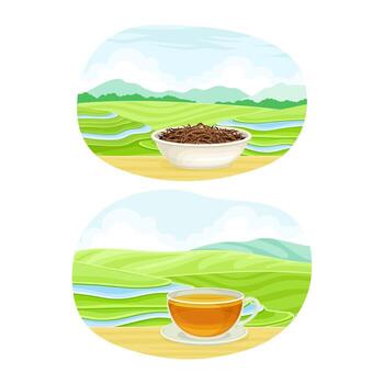 Two different views of tea and coffee vector
