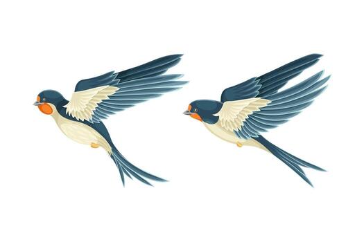 Swallow or Martin Passerine Bird with Long Tail and Pointed Wings Set vector