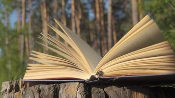 Open book with fluttering pages on tree stump in forest sunlight. Reading in nature with books resting on a stump surrounded by green forest trees video