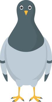Cute Pigeon Character. Dove Bird vector
