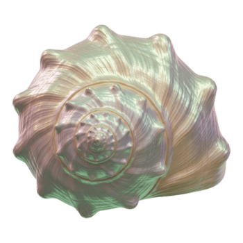 iridescente conchiglia con intricato spirale modello isolato su trasparente sfondo png