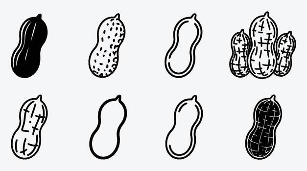 Peanut icon set for graphic design elements and illustration vector
