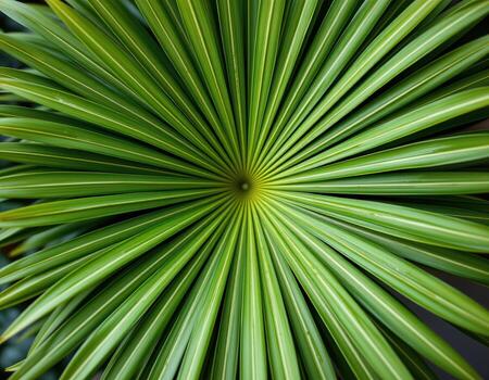 Radiant Green Palm Leaf with Spiral Pattern and Symmetrical Design photo
